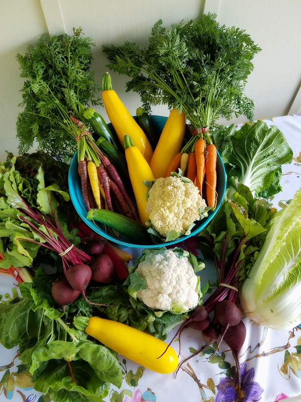 Recetas para hacer con verduras
