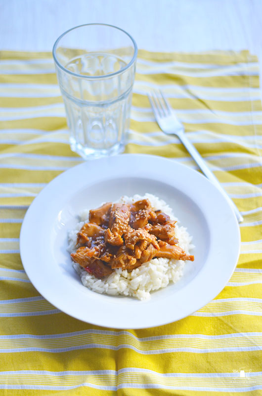 Pollo teriyaki facil